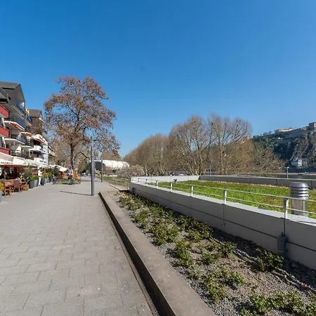 Mit Rheinblick By Moliho